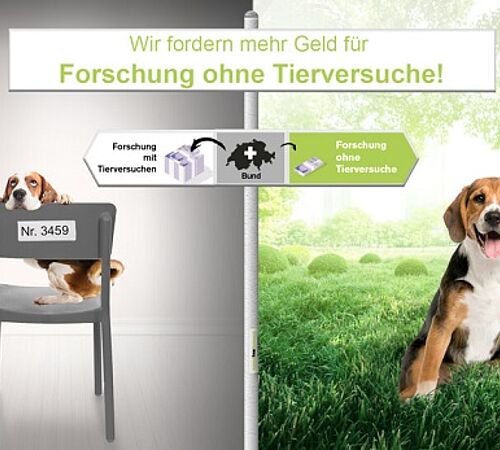 Forschung ohne Tierversuche - Petitionsübergabe in Bern