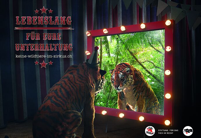 Keine Wildtiere im Zirkus