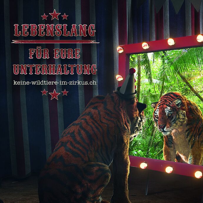 Keine Wildtiere im Zirkus