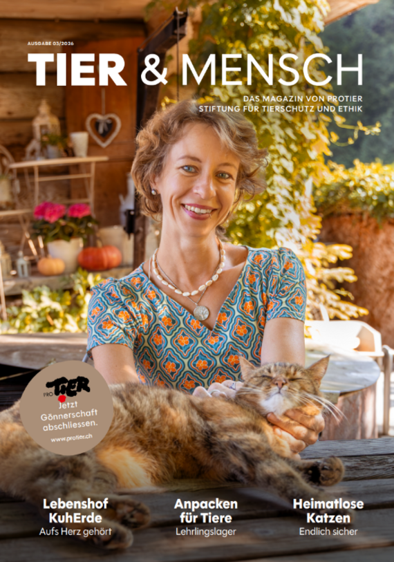 Probeexemplar Magazin «Tier & Mensch» / gratis / Ausgabe 03/2026
