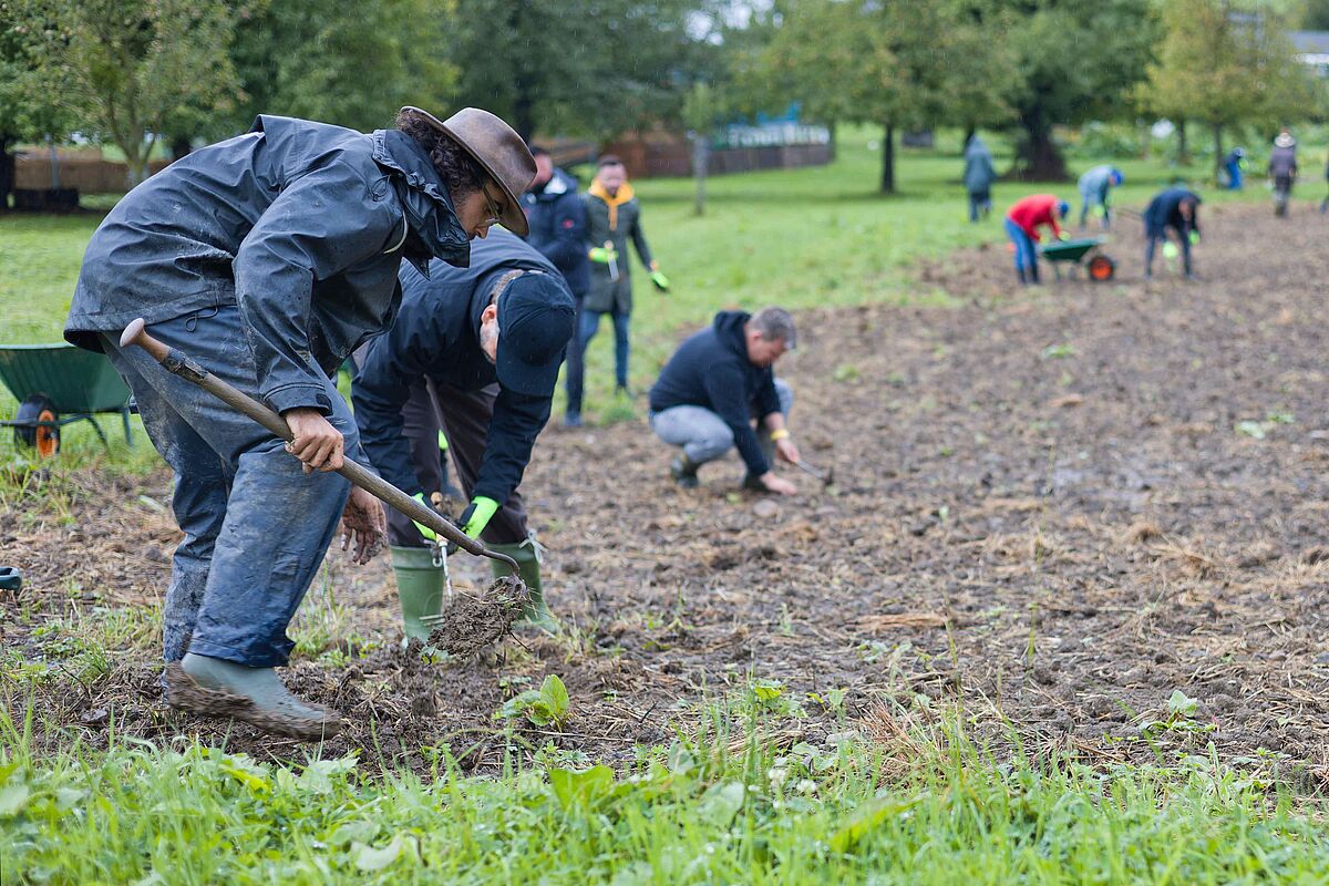 Corporate Volunteering ProTier