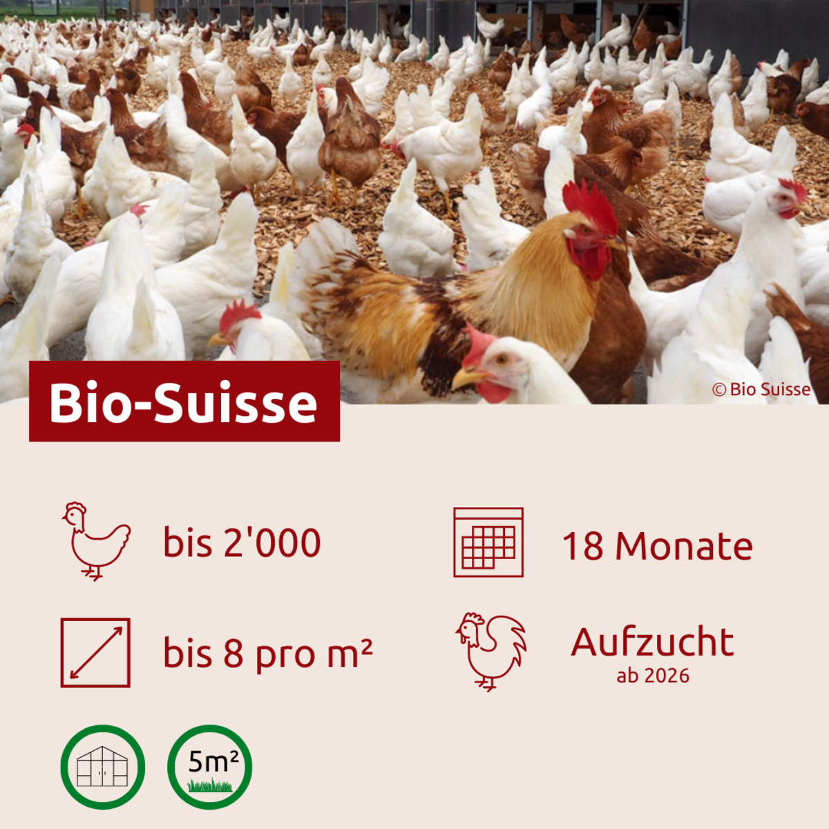 Bio Suisse