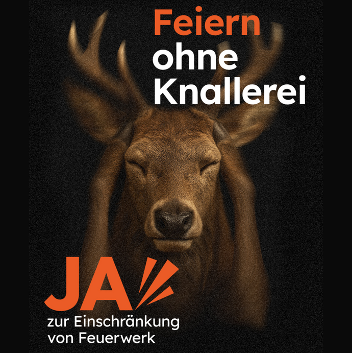 Feuerwerksinitiative Feuerwerksinitiative