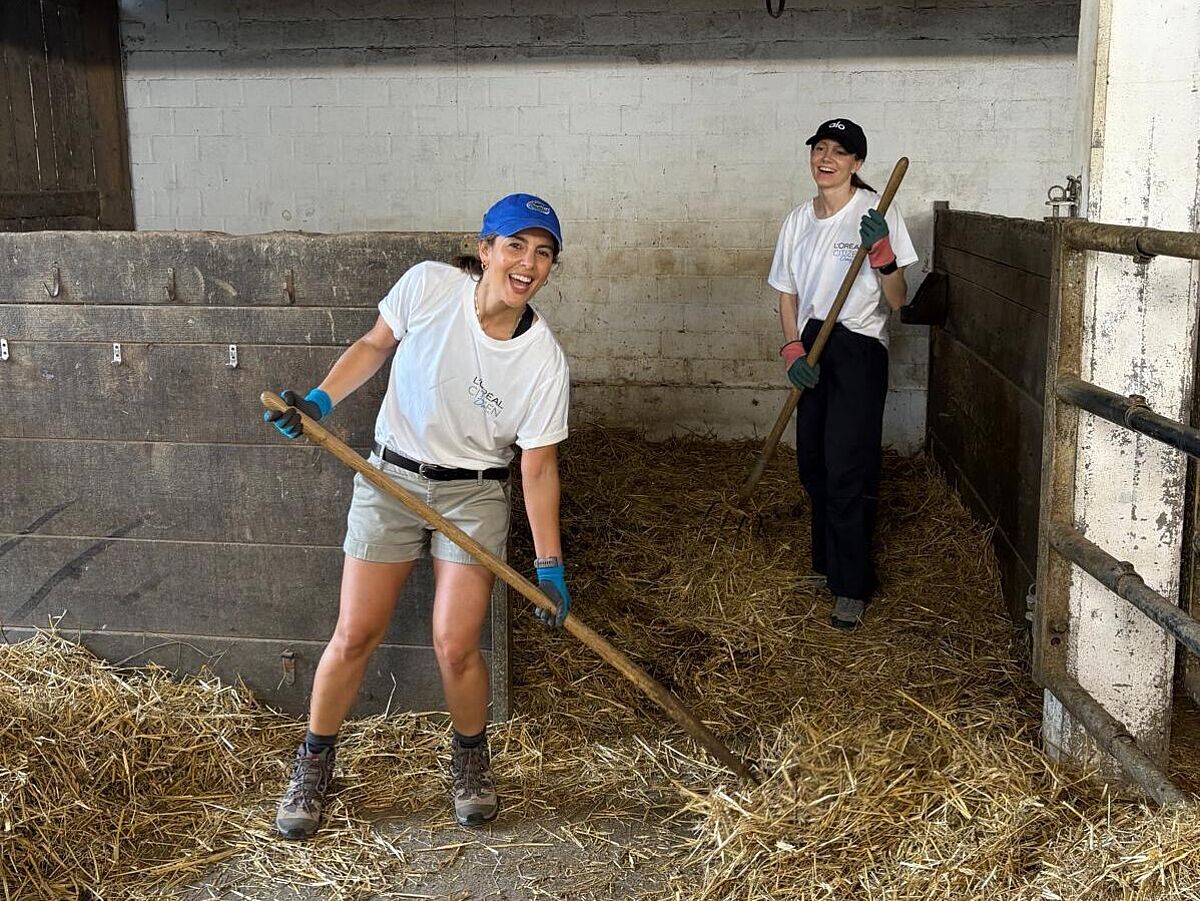 Corporate Volunteering