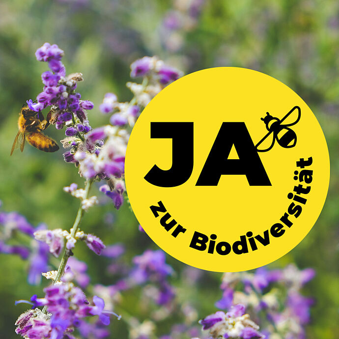 Biodiversitätsinitiative