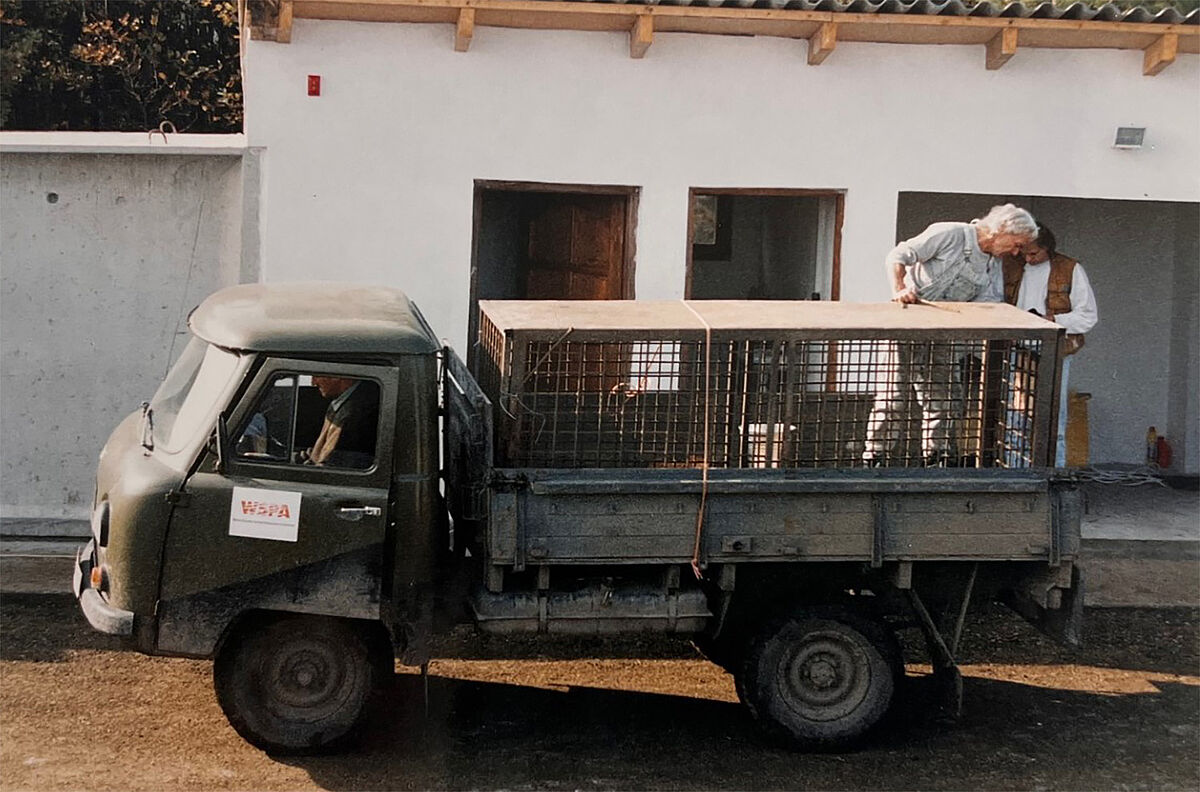 75 Jahre ProTier - Archiv