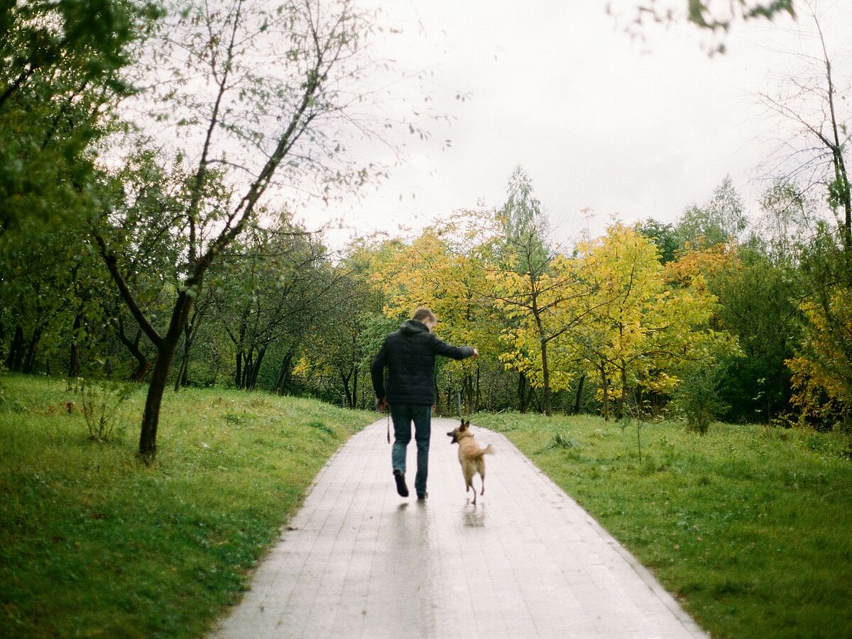 Spaziergang mit Hund