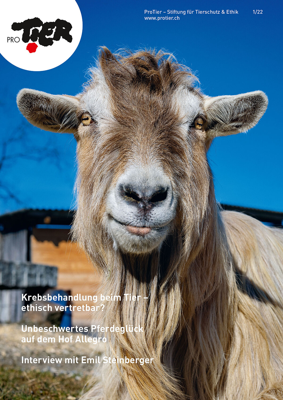 Ausgabe Frühling 2022