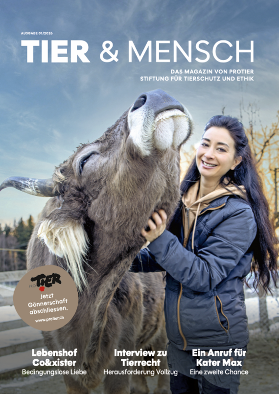 Probeexemplar Magazin «Tier & Mensch» / gratis / Ausgabe 01/2026