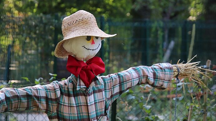 Vogelwächter für die Hühnerschar der Life Farm Forever basteln Vogelwächter für die Hühnerschar der Life Farm Forever basteln