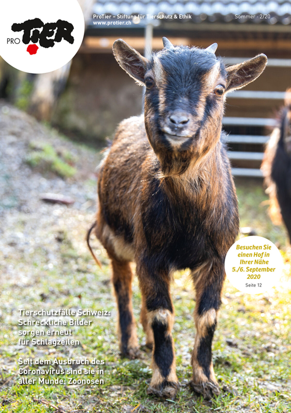 Ausgabe Sommer 2020