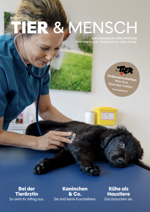 Probeexemplar Magazin «Tier & Mensch» / gratis / Ausgabe 03/2025