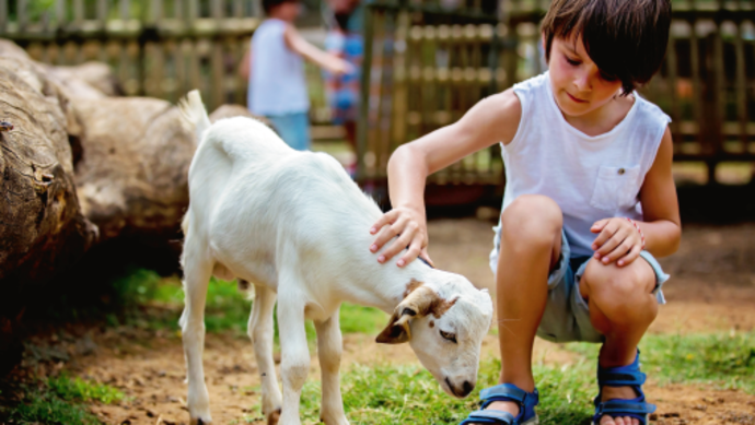 Tierisch coole Ferien