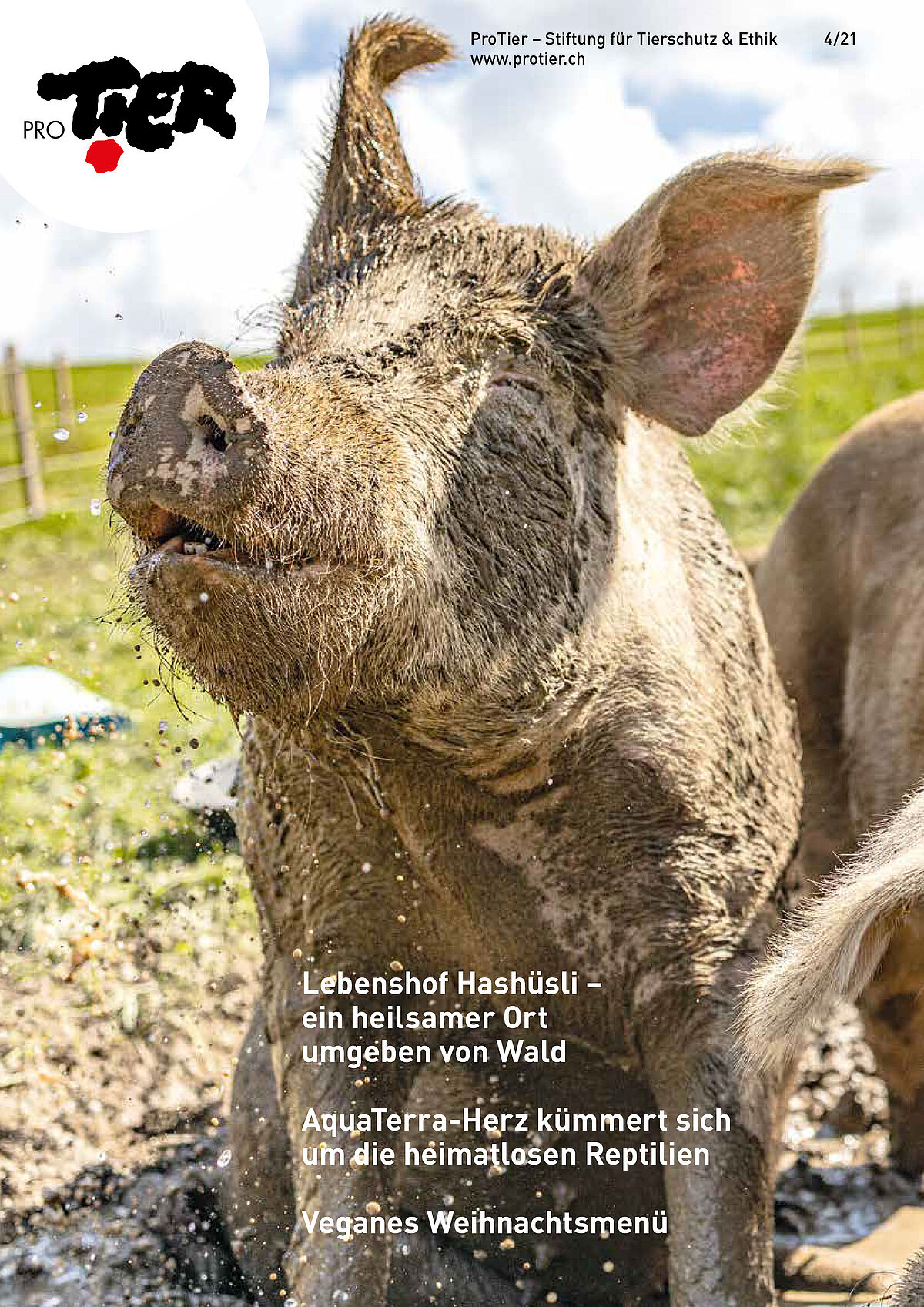 Ausgabe Winter 2021