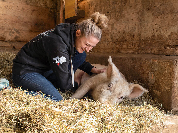 Schweinerettung mit Herz