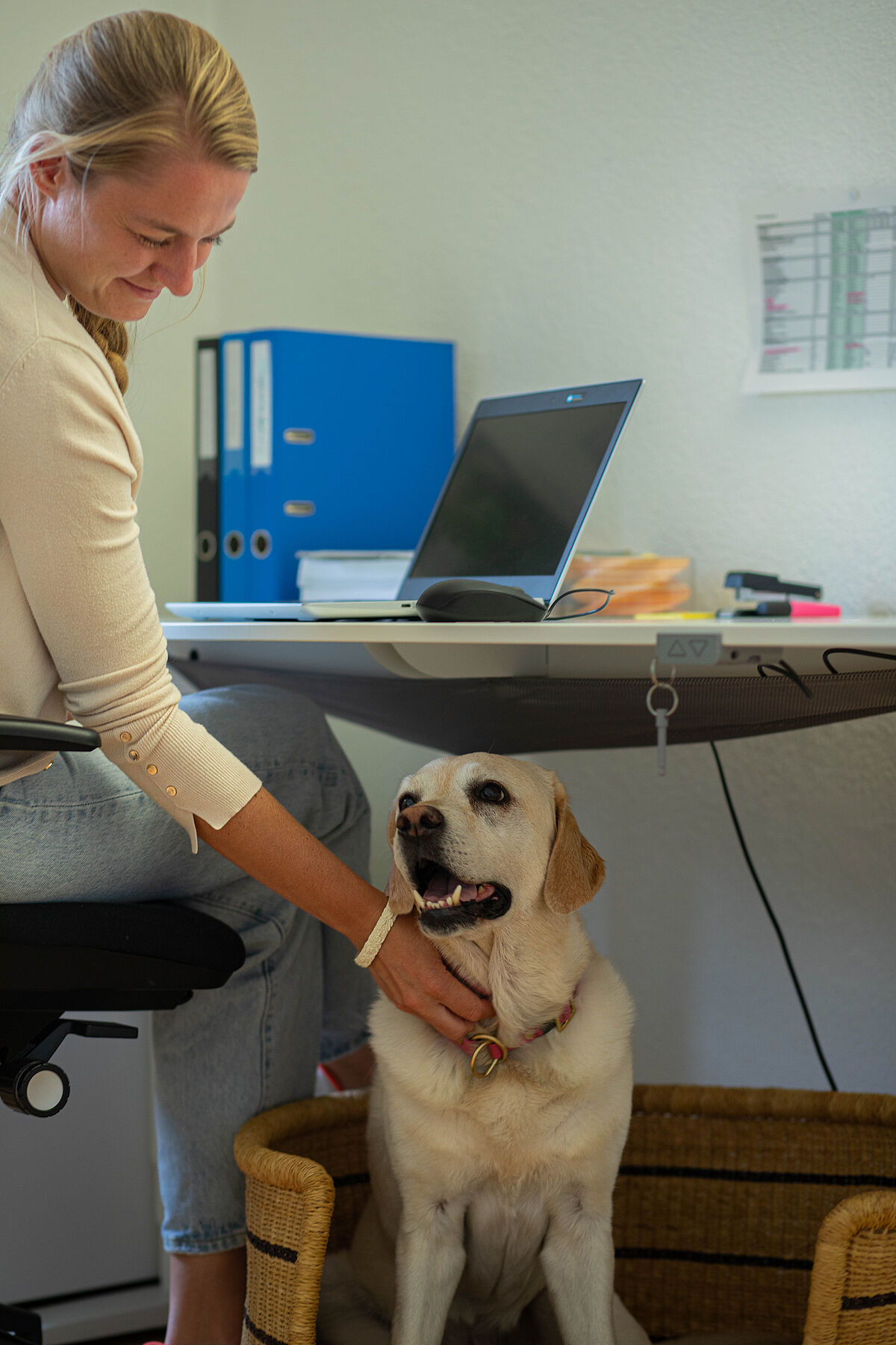 Hund sitzt im Büro unter Tisch von einer Mitarbeiterin und wird gestreichelt