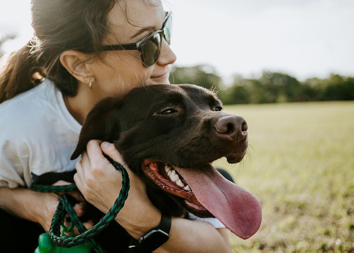 Hunde Erziehung