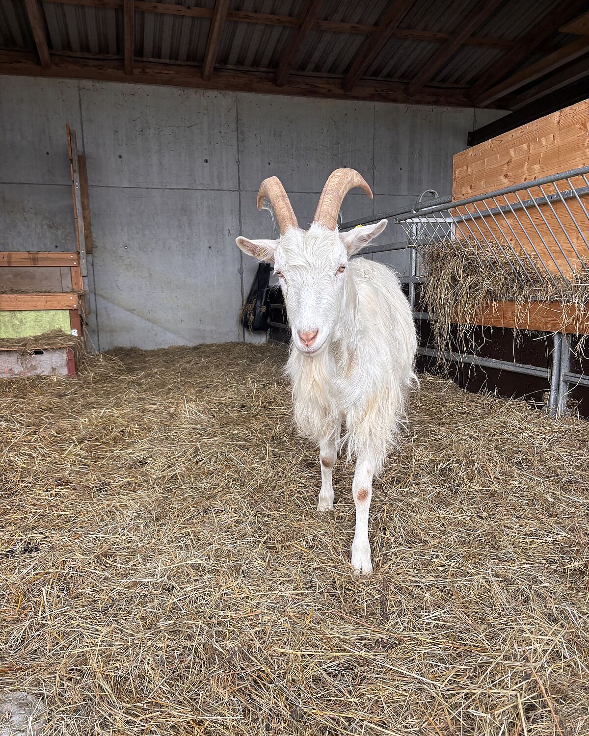 Corporate Volunteering