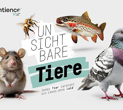 Petition «Unsichtbare Tiere» von Sentience