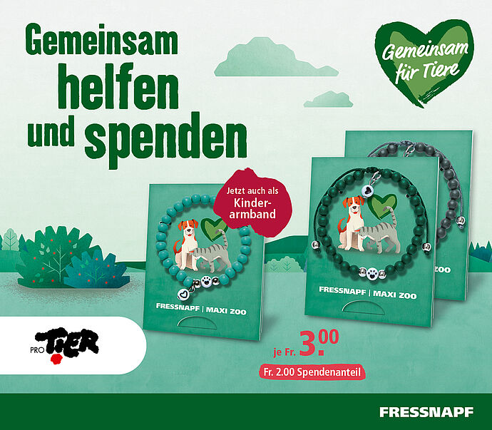 Spenden-Aktion "Gib Pfötchen" 2020