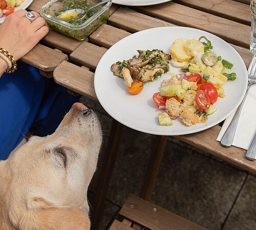 Tierfreundlicher Grill-Plausch