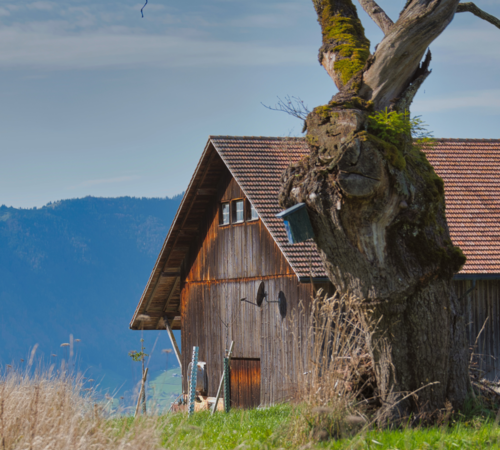 Ausbau auf dem Erlebenshof vilztür