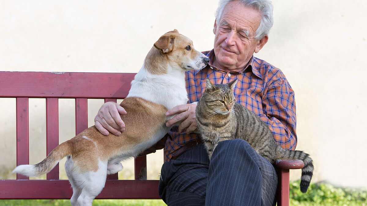 Mann auf Bank mit Hund und Katze