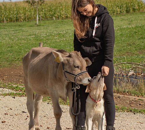 Mehr als Milch und Fleisch