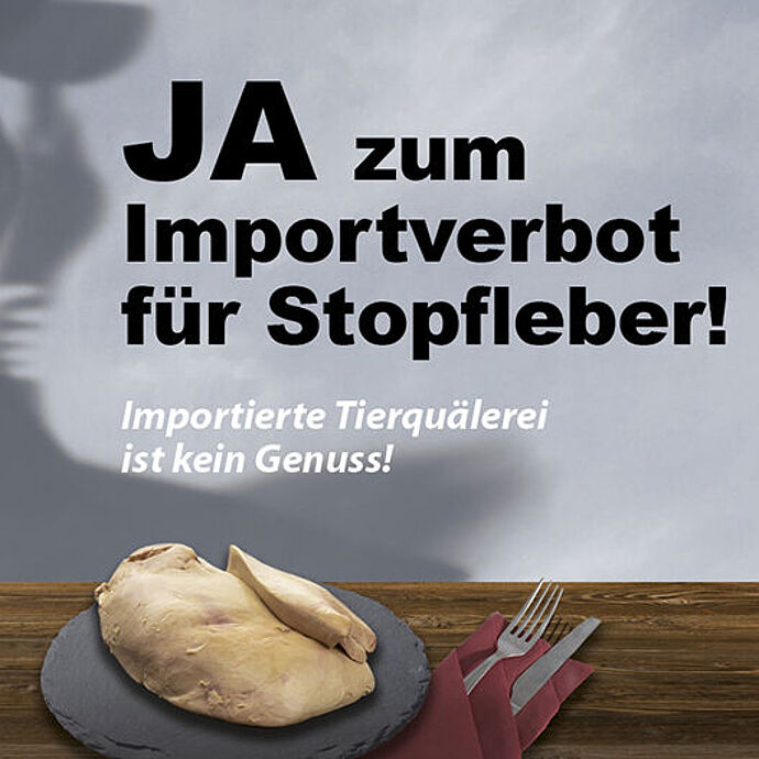 Importverbot für Stopfleber