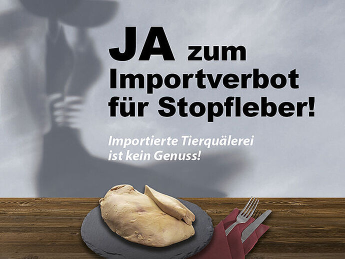 Importverbot für Stopfleber