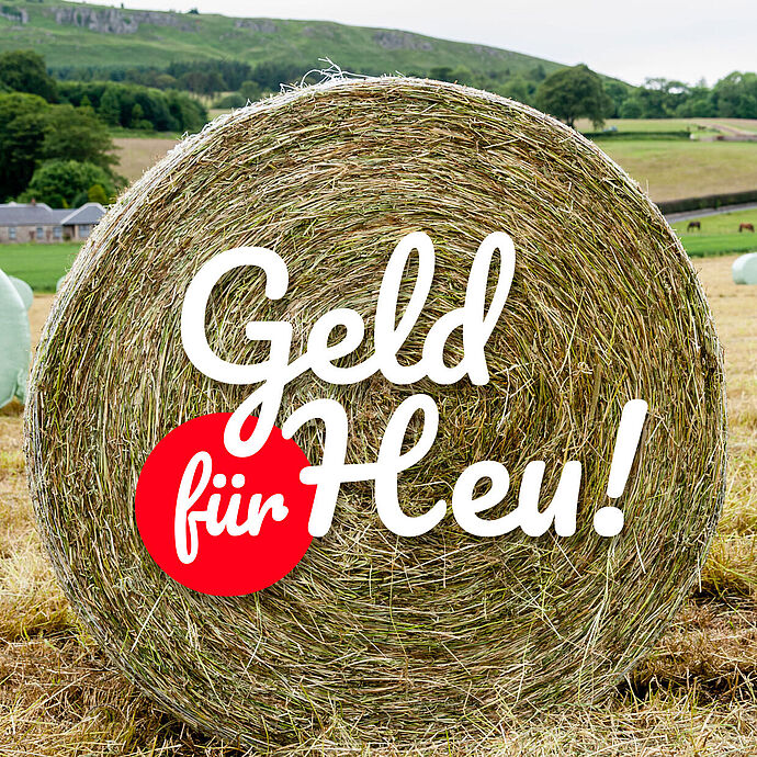 Geld für Heu