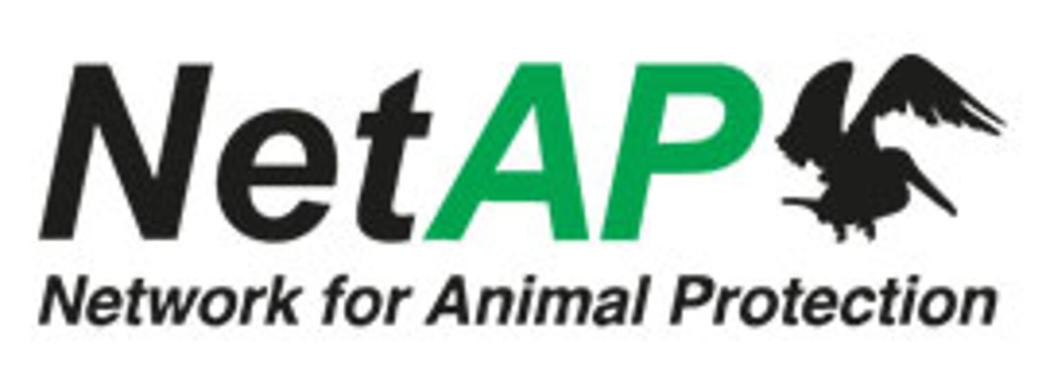 NetAP Esslingen ZH