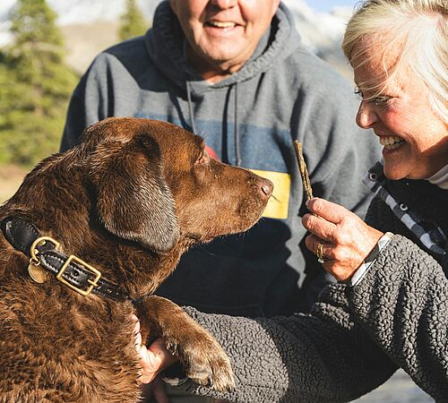 Erschwerte Adoptionen