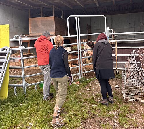 Gemeinsam schaffen wir Grosses!