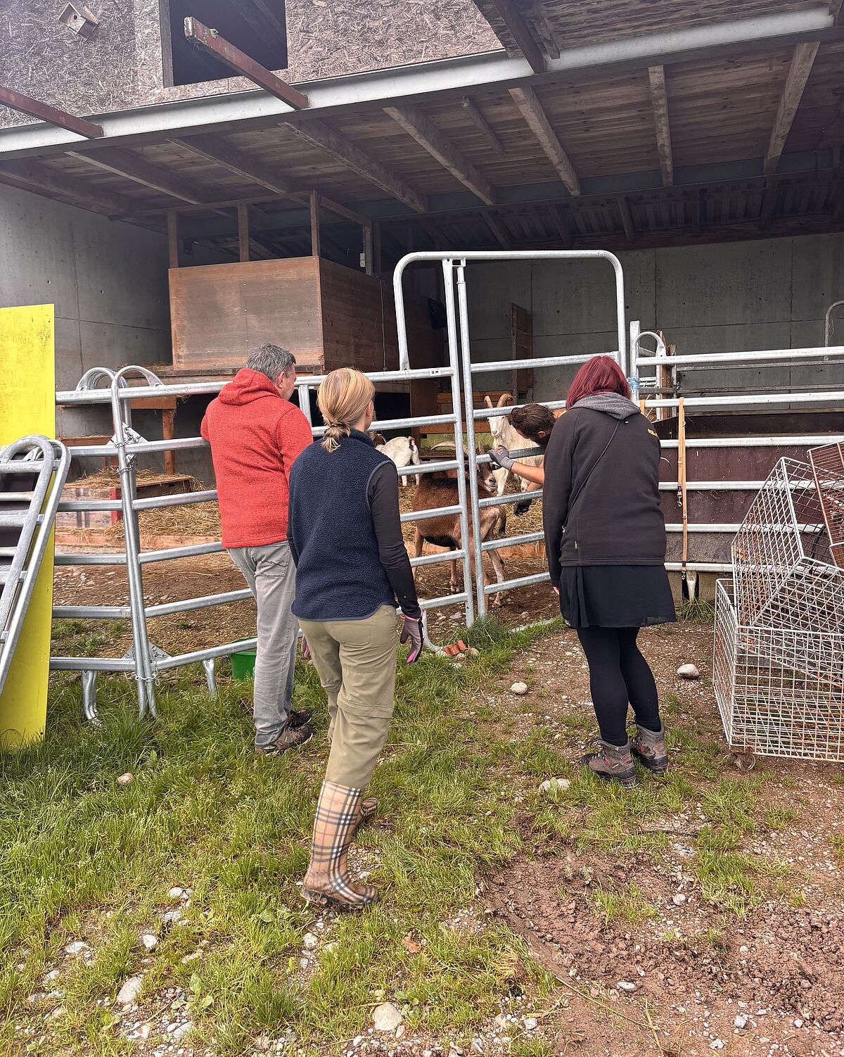 Corporate Volunteering