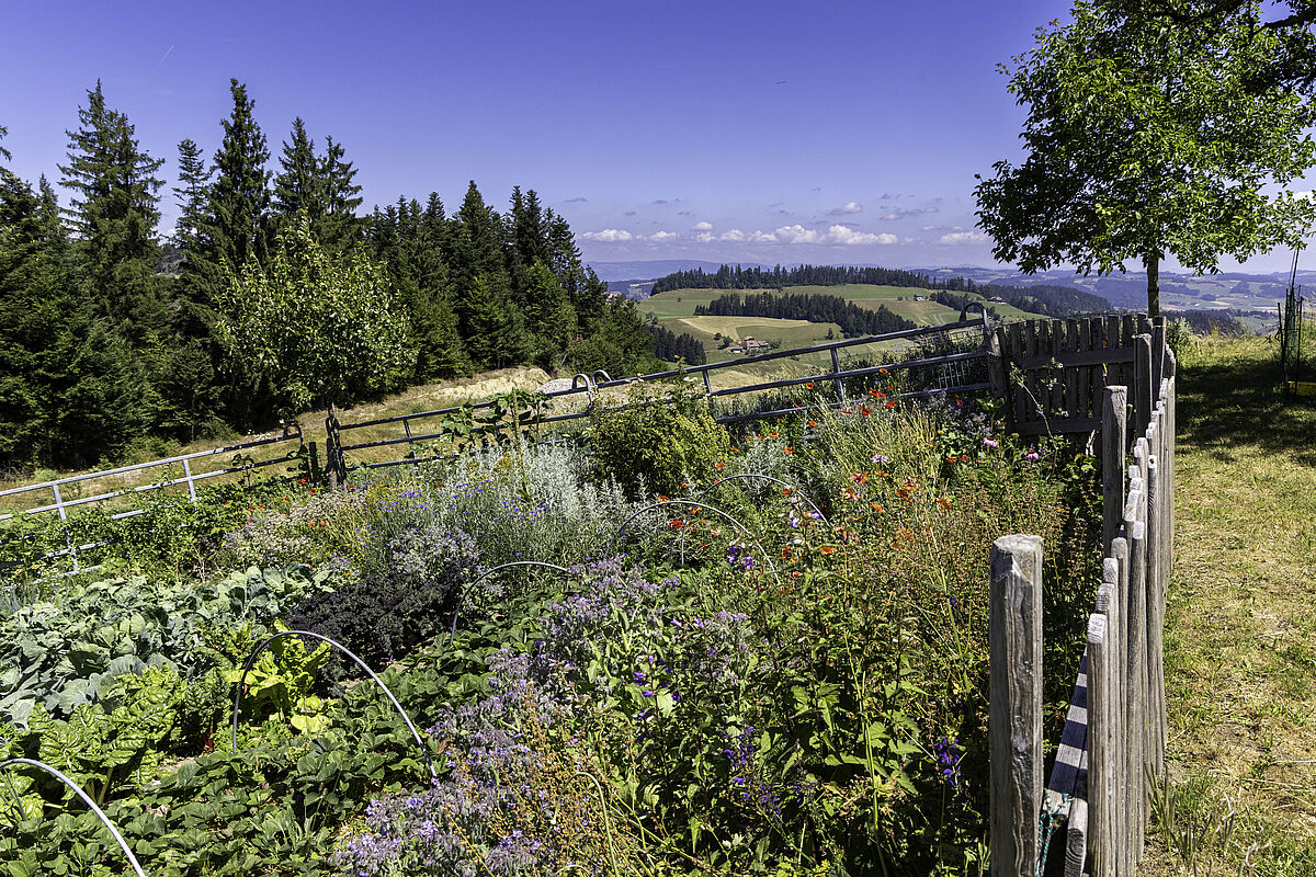 Gemüsegarten auf dem Lebenshof Bruffhof