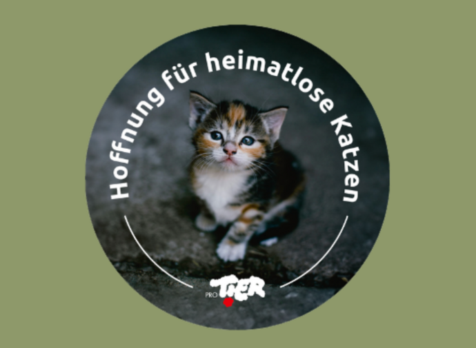 Sticker kleben - Leben Retten!