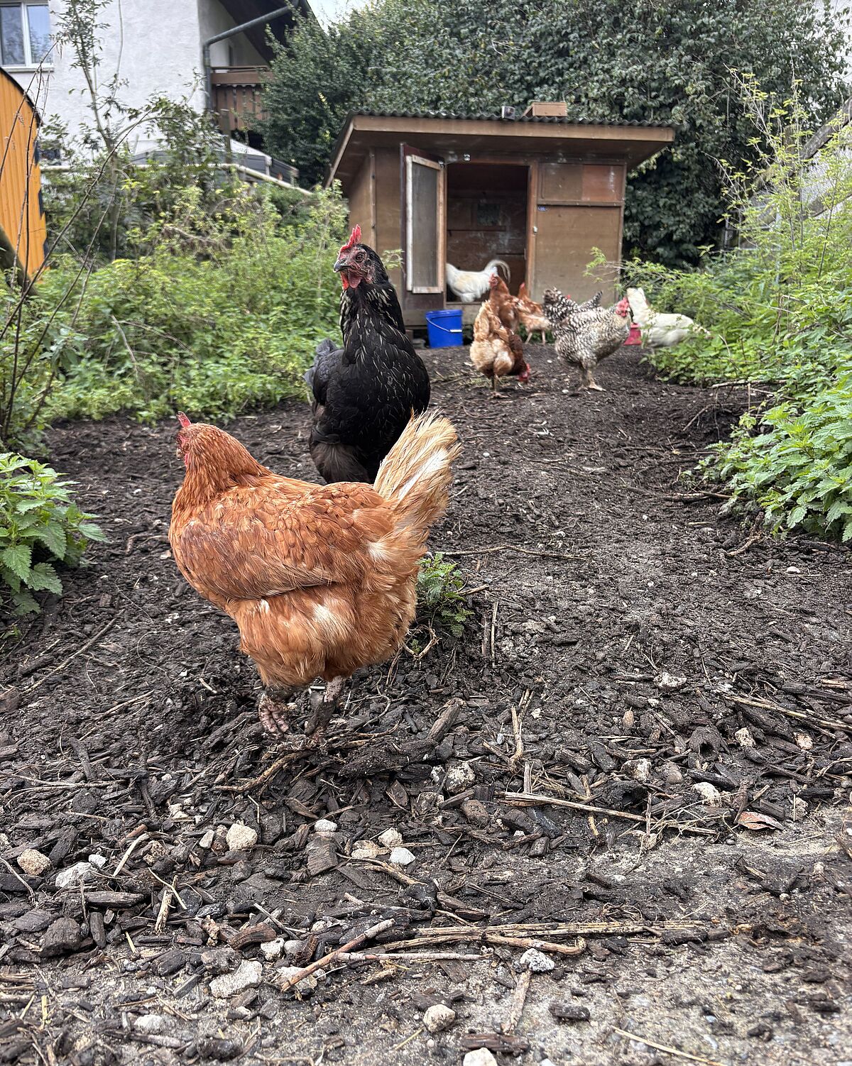 Corporate Volunteering