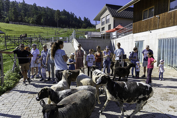 Events auf Lebens- und Gnadenhöfen