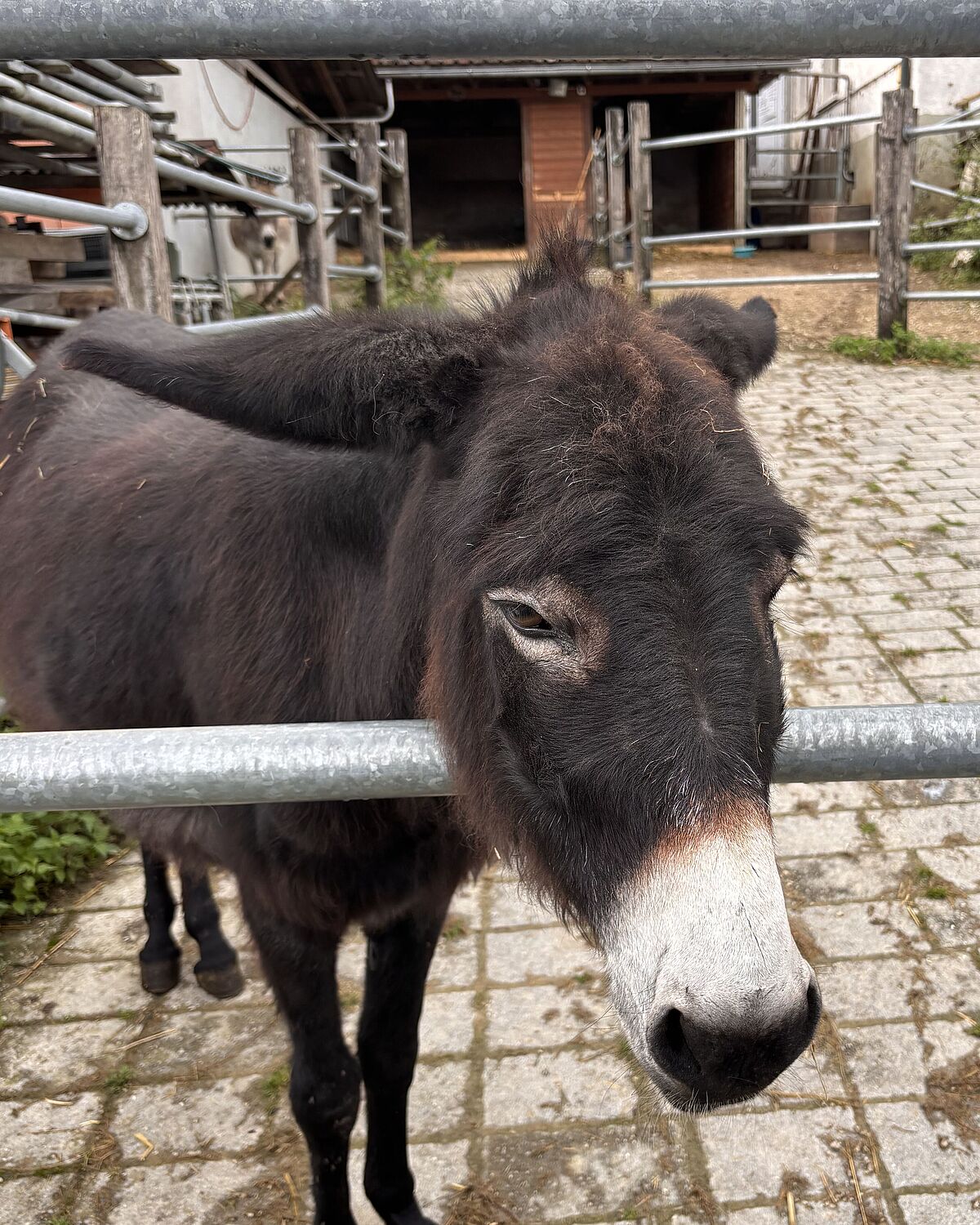 Corporate Volunteering