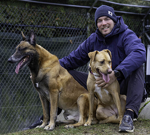 Die Kontroverse rund um Listenhunde