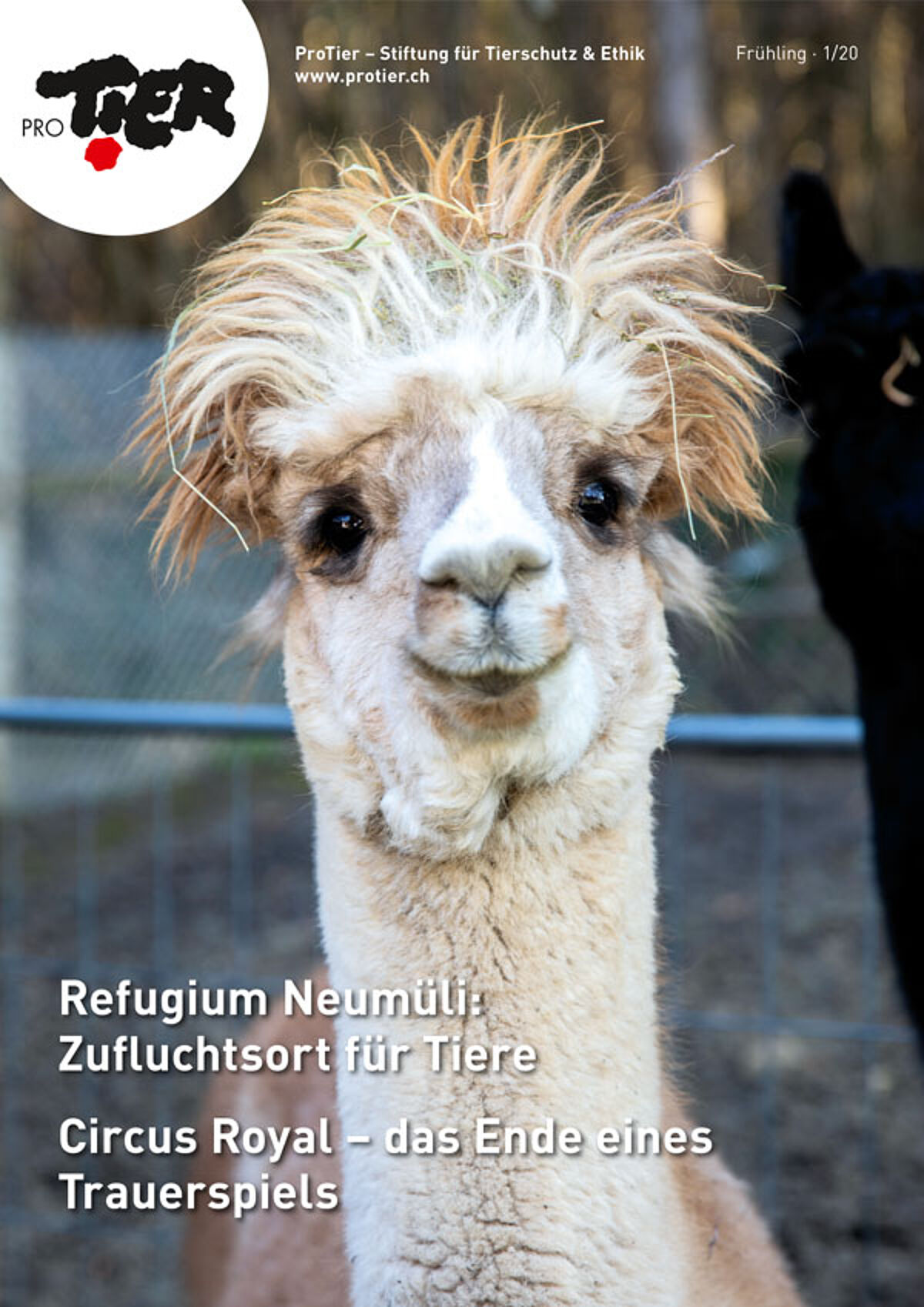 Ausgabe Frühling 2020