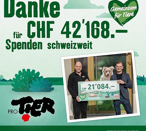 Fressnapf-Spenden-Aktion 2020