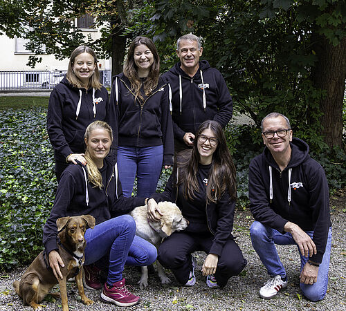 Happy New Year - Tierschutzwünsche für das neue Jahr