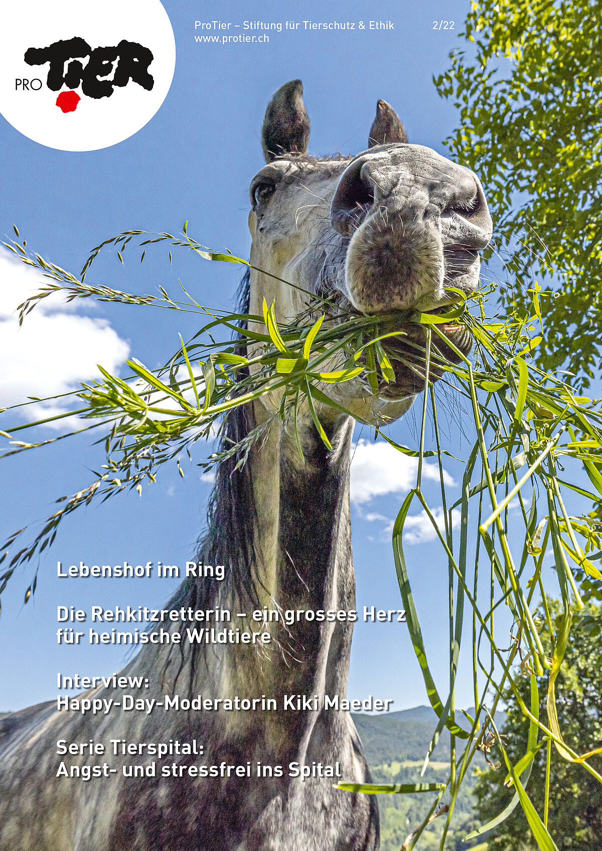 Ausgabe Sommer 2022