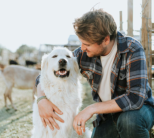 Toll, ein anderer macht’s?