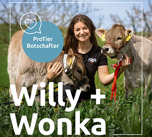 Willy und Wonka: Ein Jahr älter