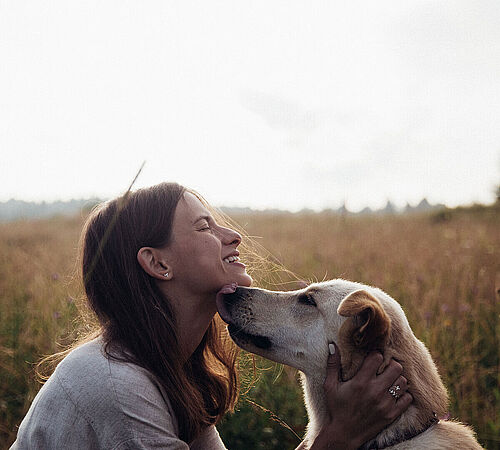 Warum eine Gönnerschaft bei ProTier Sinn macht