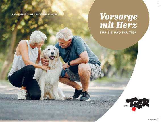 Erbschaftsbroschüre / gratis