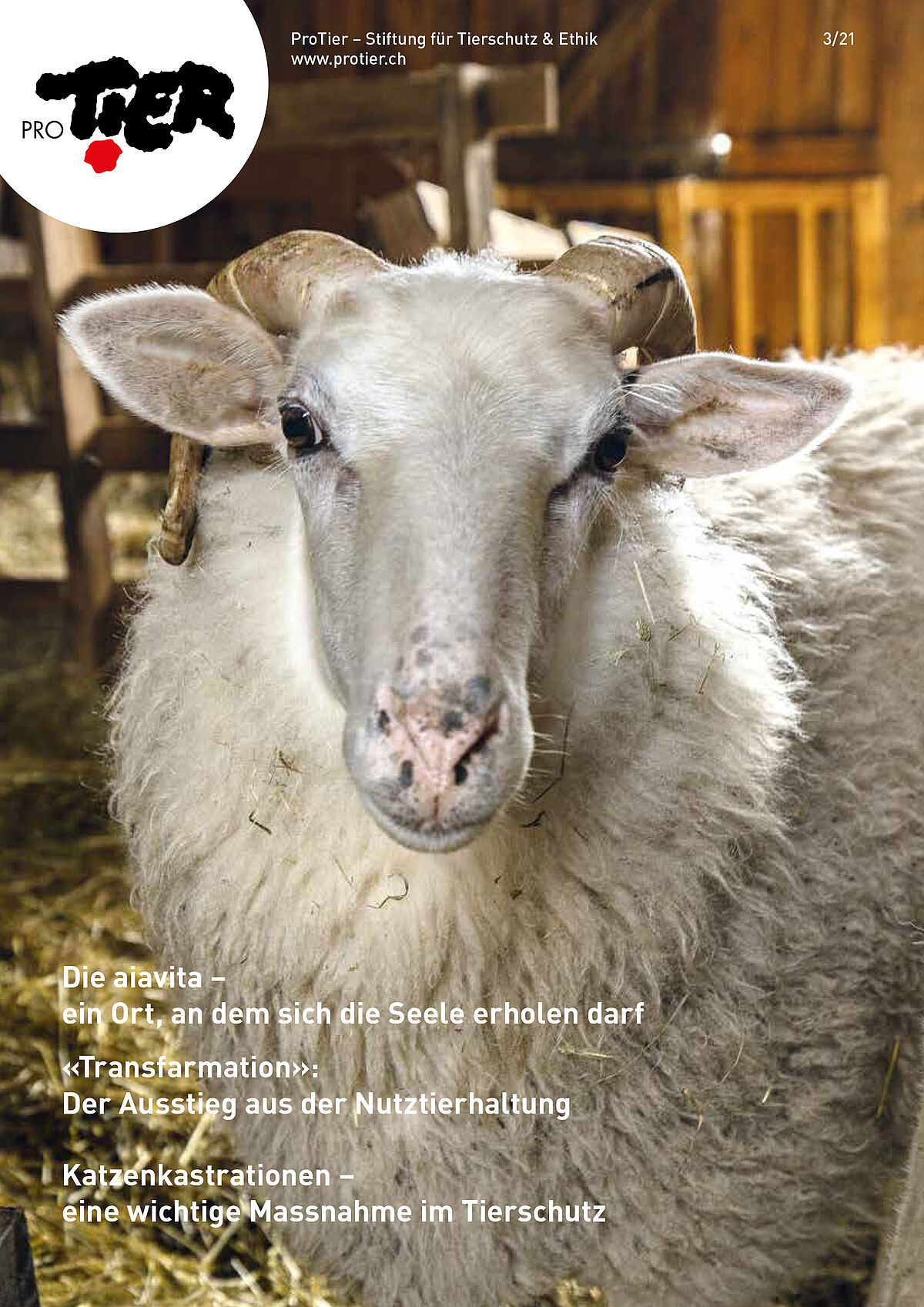 Ausgabe Herbst 2021
